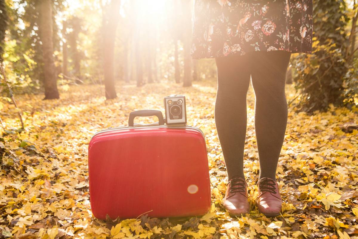 Side-by-side comparison of influencer luggage for multiple camera bodies showing interior organization systems